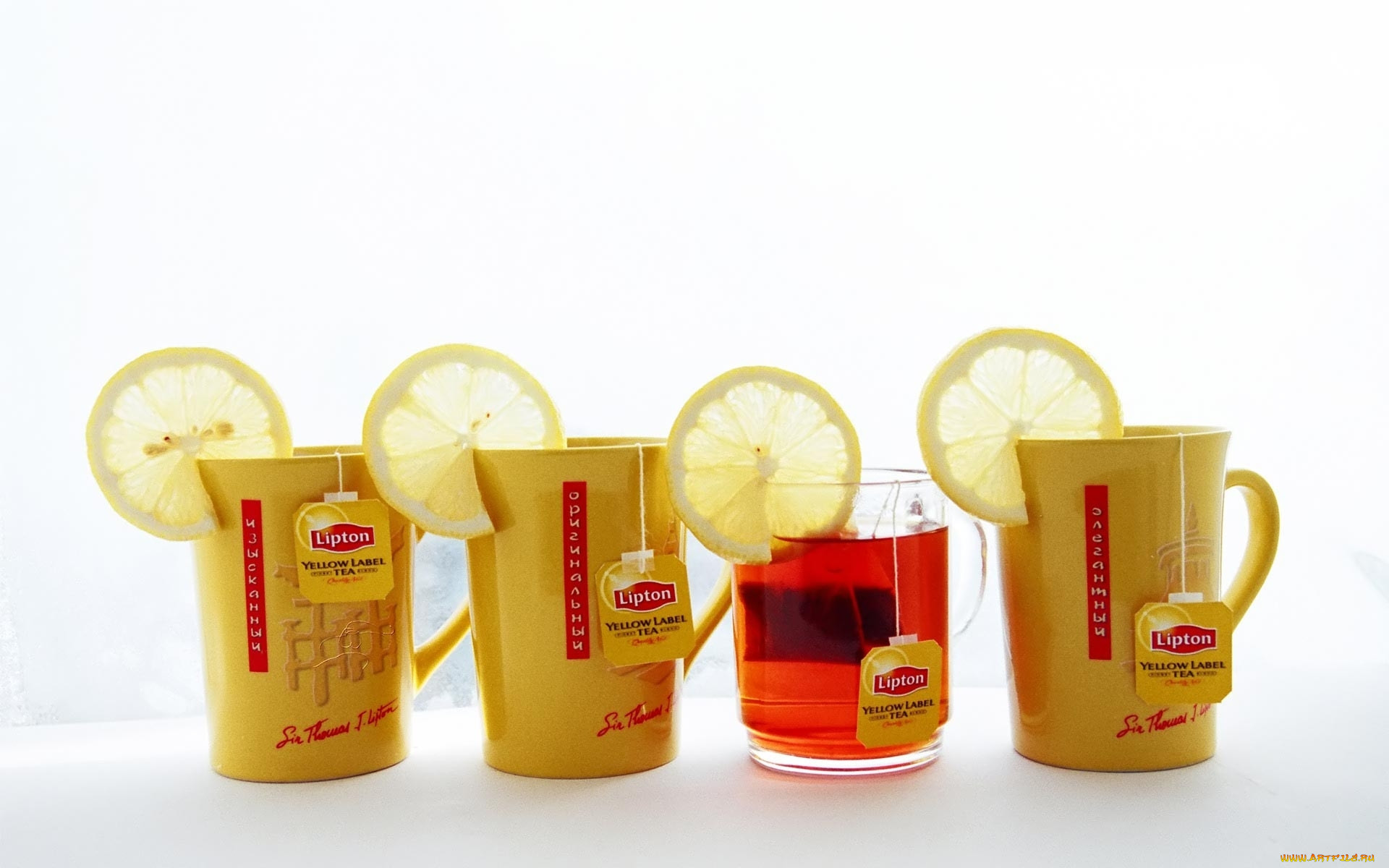 , lipton, , , 